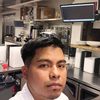 apoloniopeanfor