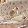 anna_72025