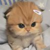 its.lenaa_zz
