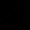 iisrann