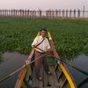 than.htay0687