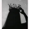 laneuv491