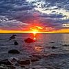 mahmoud.ahmad9719