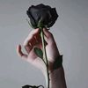 eka_rasyid2023