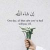 hamnaqureshi85