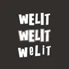 WELIT公式TikTok