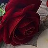 user567103066702