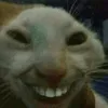 yruann_1