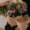 assia3569