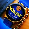 waqarmirza461