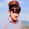 arif.wafa804