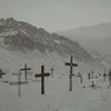 alena_29500