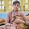 salmansafi453