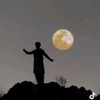 sohail15564