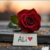 ali.gujjar0789