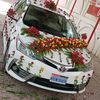shahzadshahzad7133