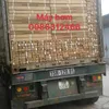 maybomo986312466