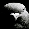 useruseruser8041