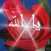 user1130391387861