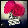 user8204423781246