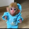 creative_clips_0