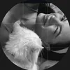 zc._2006
