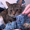 awitchsyarn