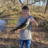 willbrewer18