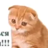 kpenkoctb