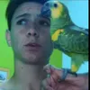 hugo.bernardes6