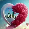 user2417428491970