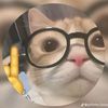 kevinblfp