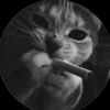 kitty__040