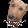 salvandoconsimba_ok