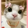 mygurlyeuri