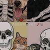 medicveterinaria2