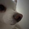 sweetnsourpork1