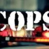 Cops' Reality