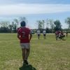 juannborrelli