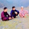 umargul8487