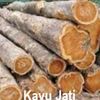 kayumanis5017