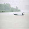 hasibalarosh__2