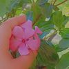 yasirmalik9104