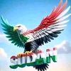 hamed89476