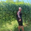 senzongongoma0