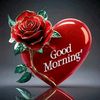 gashe.gashe4