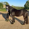 lenayandtilly2