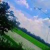 🌺🌺 বিষ্টি ভেজা 🥀🥀মন🌺🌺