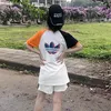 dip_982