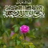 um.ali.alsaady
